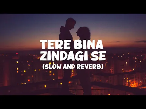 Download MP3 Tere bina zindagi se - Lofi (Slow and Reverb) - Dil Vil Pyar Vyar - Alka Yagnik | NestMusicZ