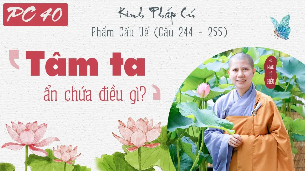Tâm ta ẩn chứa điều gì? Kinh Pháp Cú, Phẩm Cấu Uế. Kệ 244-255. SC. Giác Lệ Hiếu