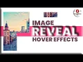 Image Reveal Hover Effects using HTML CSS Programming Eye