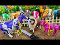 AMAZING!!! PROSES POTONG SAPI KURBAN KUDA KAMBING GAJAH KEREN SEKALI‼️