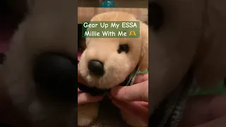 Gear Up My ESSA Millie With Me Esa Essa  Gear Up My ESSA Millie With Me Esa Essa
