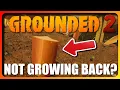 5 Methods to Get Stems to Respawn in Grounded 2