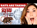 Exposing BOSTONS BIGGEST Myths