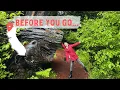 WHAT NO ONE TELLS YOU ABOUT HUMBOLDT COUNTY