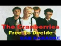 Cranberries - Free To Decide - Karaoke Lyrics Instrumental