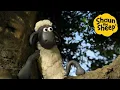 Lagu Stuck up a tree!🐑 Shaun the Sheep 🐑  - Cartoons for Kids 🐑 Full Episodes Compilation [1 hour]