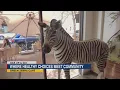 Sarasota s Green Zebra Cafe blends healthy food with community