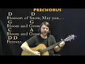 Edelweiss The Sound of Music Guitar Cover Lesson in G with - Munson