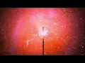 TEED - Into The Light