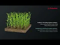 PALADRIP-FC – Consistent performance, at every drop.