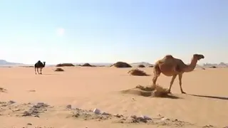 موال عاشق تراب الوادي للفنان صبري عبد الرحمن 