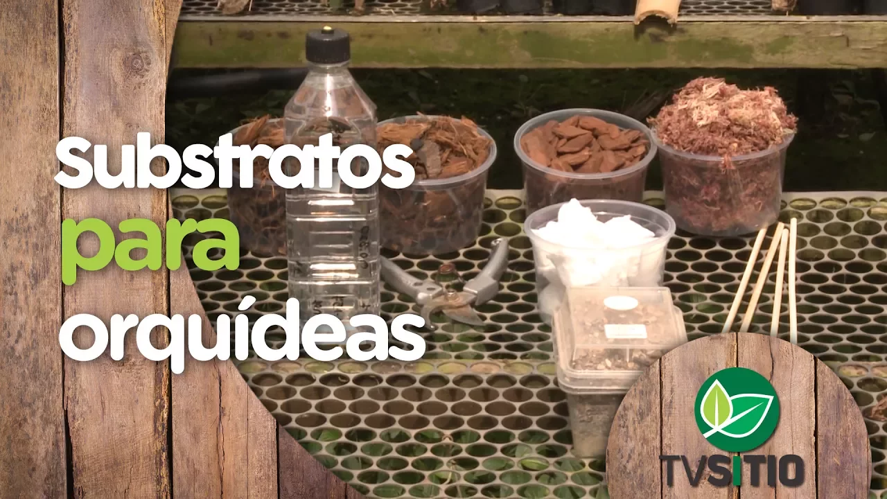 COMO FAZER SUBSTRATO PARA ORQUÍDEAS