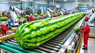 Inside a Watermelon Juice Factory 🍉 | From Fresh Watermelon to Bottled Juice