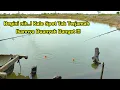 Download Lagu Spot Baru !! Ternyata Banyak Banget Ikannya - Mancing Kakap Putih Ditambak