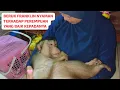 Download Lagu BERUK BESAR BISA LULUH DENGAN PEREMPUAN INI‼️