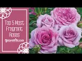 Download Lagu Top 5 Most Fragrant Roses | NatureHills.com