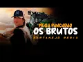 Download Lagu MEGA PANCADÃO SERTANEJO | Os Brutos e as Brutas do SERTANEJO REMIX | Remix 2022 #002