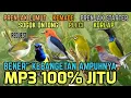 Download Lagu Baru!! Suara Pikat Prenjak lumut, Sogon, Kemade, Pleci, Korlap, Prenjak starter 😱