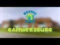 Hounds Town USA Store Walkthrough - Gaithersburg MD