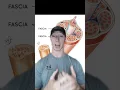 What does massaging actually do to the body part 1