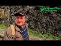 Carpathians: Where Wolves Look Through the Windows—An Old Shepherd's Way Home. Documentary