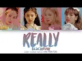 Download Lagu BLACKPINK – Really Color Coded Lyrics HAN/ROM/ENG