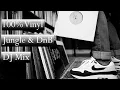 Download Lagu 100% Vinyl Jungle Drum and Bass DJ Set With Pesky