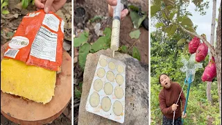 Top3 | Part43 - Survival Skills: SMART idea and USEFUL in forest #camping #outdoors #bushcraft