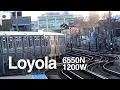 This Is Loyola 2021 Spring Semester Loyola University Chicago