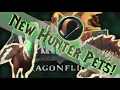 NEW Hunter Pets in Dragonflight Complete Overwiew