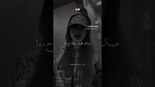 اغنية ماله قلبك قساح  اغنية ماله قلبك قساح