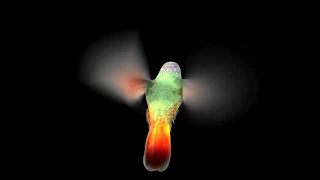 Hologram s for 180 degrees screen t6