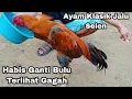 Download Lagu Warnanya Emang Menggoda