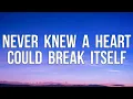Download Lagu Zach Hood - never knew a heart could break itself (Lyrics Video)