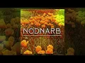 Download Lagu Nodnarb (2009) FULL ALBUM