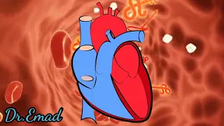 ارتفاع خضاب الدم الأسباب والأعراض والوقاية دندنها