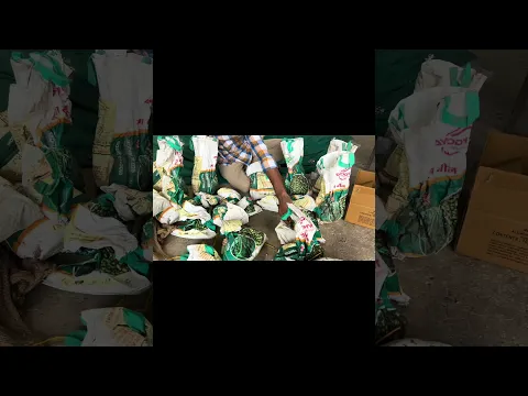 Soybean का बीज तैयार करना आसान काम नहीं