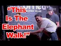 Elephant Walk With Frat Guys Standup Comedy Ted Jones Comedian