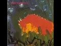 Plateau- Meat Puppets
