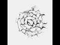 Noise walker from multiple circles Draw by openFrameworks