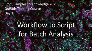 Automating Workflows with Scripting