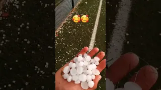 في الدنيا هاذي ماتوثق في حتى واحد نعجى حياتهى كامل خايف من الذيب او في لخر يضبحهى الراعى 6 6شريكي 