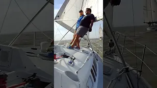 They’re Always Racing on Galveston Bay #shorts