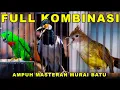 Download Lagu FULL KOMBINASI MASTERAN BURUNG JUARA  #serindit #masteran #kiacumania #audiojernih #gerejatarung