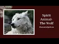 Animal Spirit Guide - The Wolf Shamanic Power Animal Wolf Symbolism