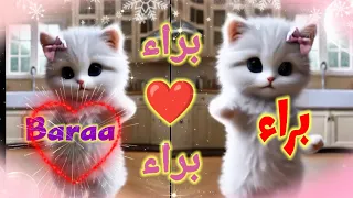 اغنية براء ام دم خفيف اغنية باسم براء اغنيه براء بيرو اسم براء السعودية فلسطين سوريا المغرب 