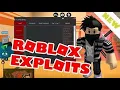ROBLOX Trigon exploit Level 7 Executes Loadstrings