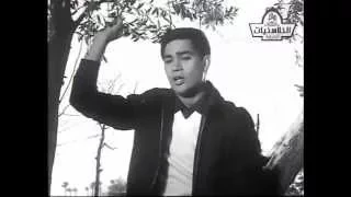 اغنية محرم فؤاد   اوعي تكون بتحب ياقلبي دندنها