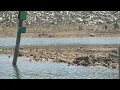 Extreme drought creates hazards for boaters swimmers on Lake Norman