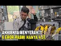 Download Lagu HARGANYA MENGERIKAN‼️APAKAH DI OBARAL BESAR DISINI⁉️
